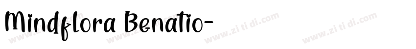 Mindflora Benatio字体转换